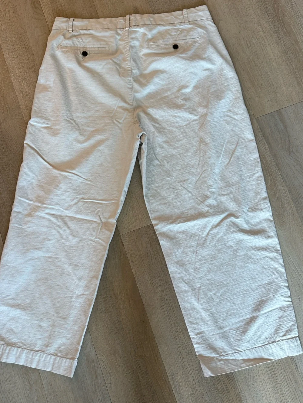 Everlane Men's Cream Chino Pants